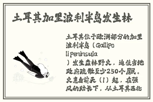 热久久视久久精品2019